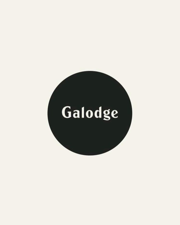 We're designing a garage and calling it the Galodge
